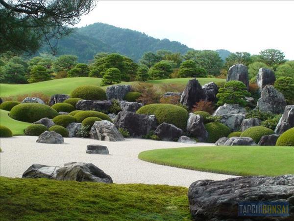 Bonsai, cay canh nghe thuat, cây cảnh nghệ thuật, cay the, cây thế, triển lãm bonsai, trien lam bonsai, triển lãm cây thế, trien lam cay the